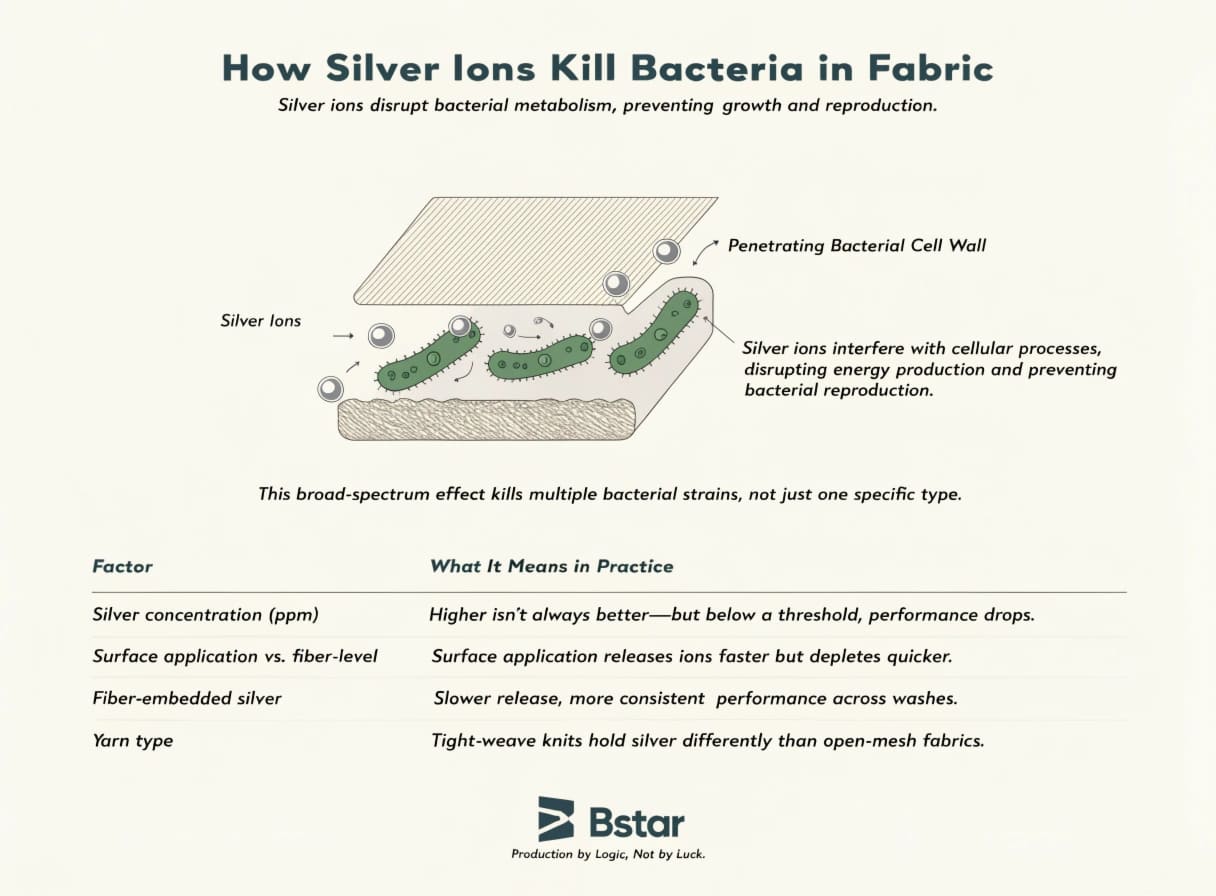 Silver ions disrupting bacterial cell wall mechanism