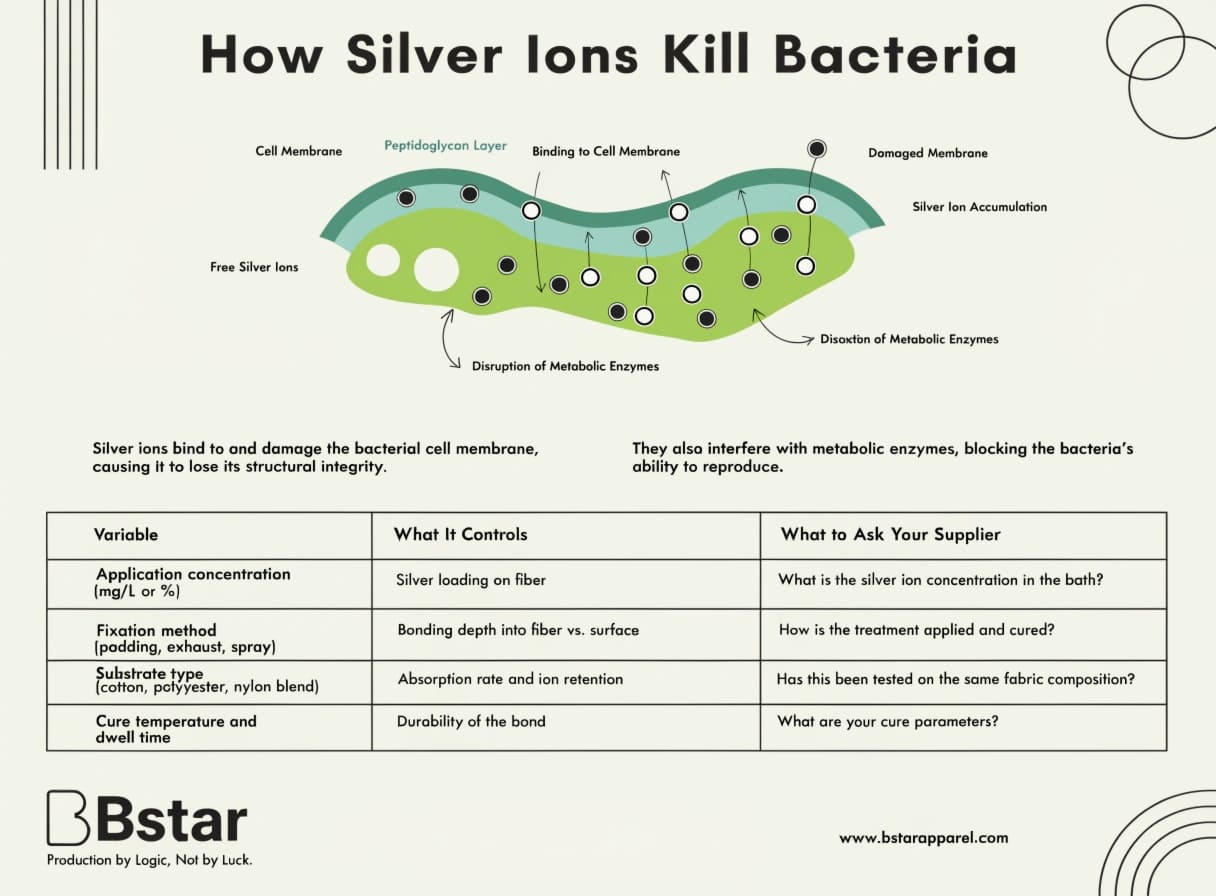 Diagram of silver ion mechanism on bacterial cell wall
